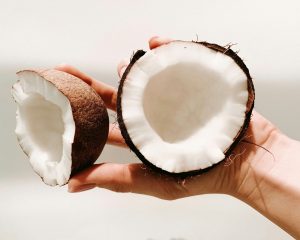 bungkil kelapa