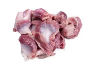 gizzard