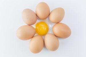 telur omega