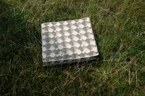 Egg tray