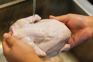 daging ayam