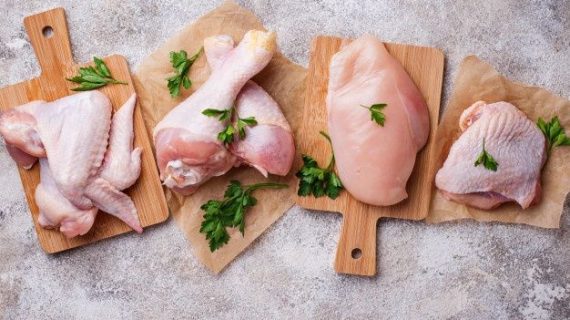 Panduan Memilih Ayam Frozen Berkualitas