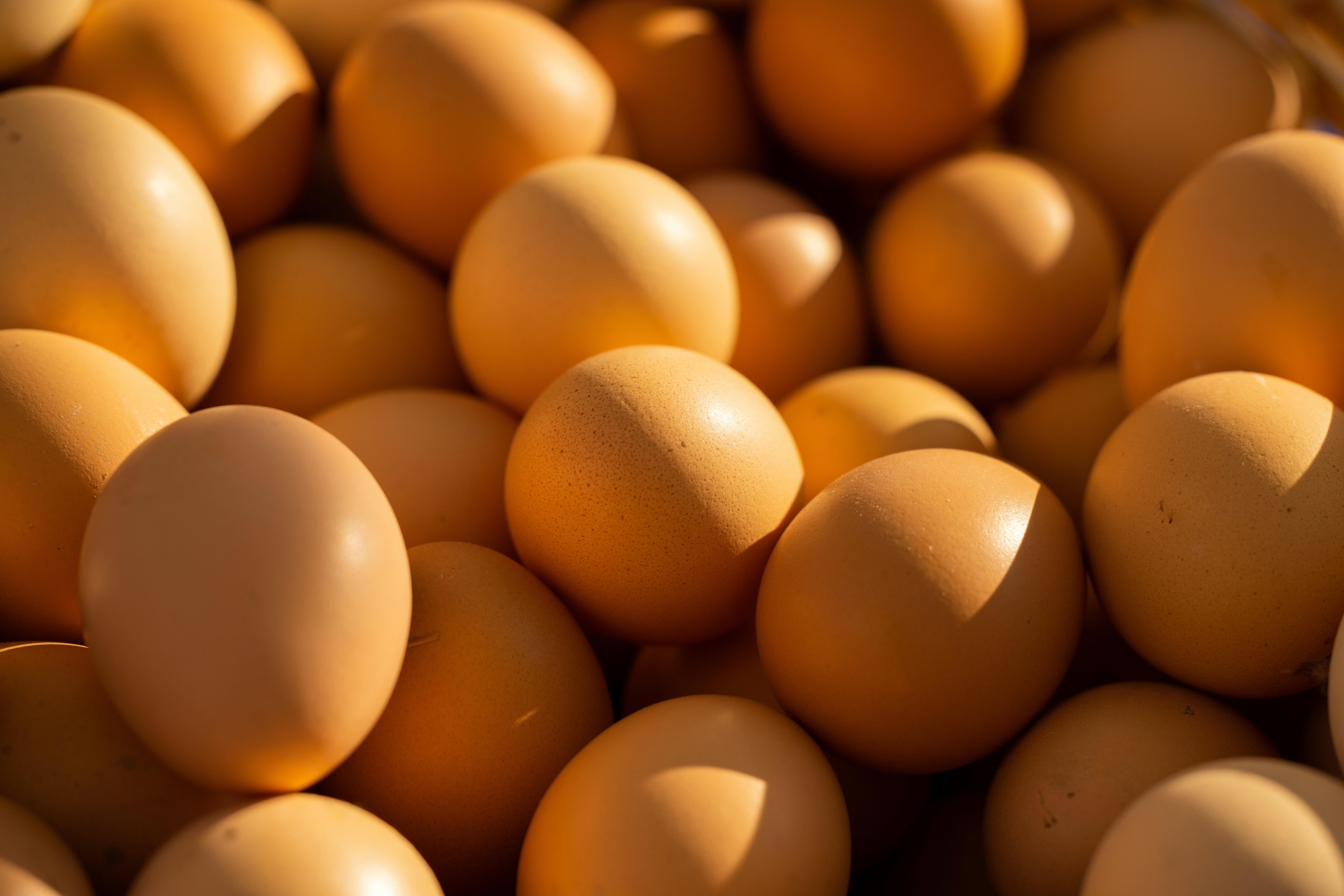 Apa Perbedaan Telur Omega 3 & Telur Biasa?
