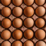 Memilih Egg Tray Terbaik: Plastik atau Karton?