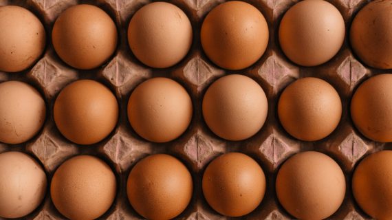 Memilih Egg Tray Terbaik: Plastik atau Karton?