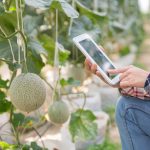 3 Tips Mengoptimalkan Pertanian dengan IoT