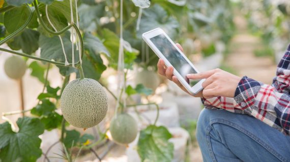 3 Tips Mengoptimalkan Pertanian dengan IoT