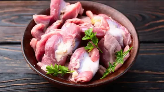Gizzard Sehat dengan Vitamin: Kenapa Penting?