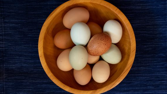 Harga Telur Ayam Ras Hari ini (Jum’at, 04 Oktober 2024)