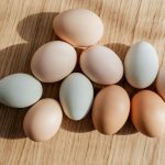 Telur Ayam Negeri & Kampung? Yuk, Bandingkan!