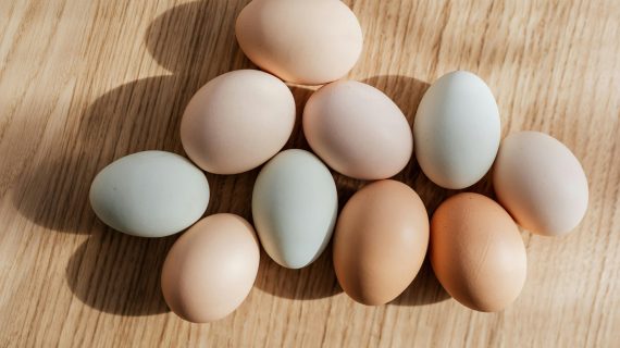 Telur Ayam Negeri & Kampung? Yuk, Bandingkan!