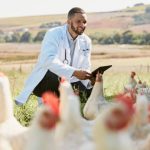 Pentingnya Pemantauan Titer Antibodi dalam Ternak Ayam